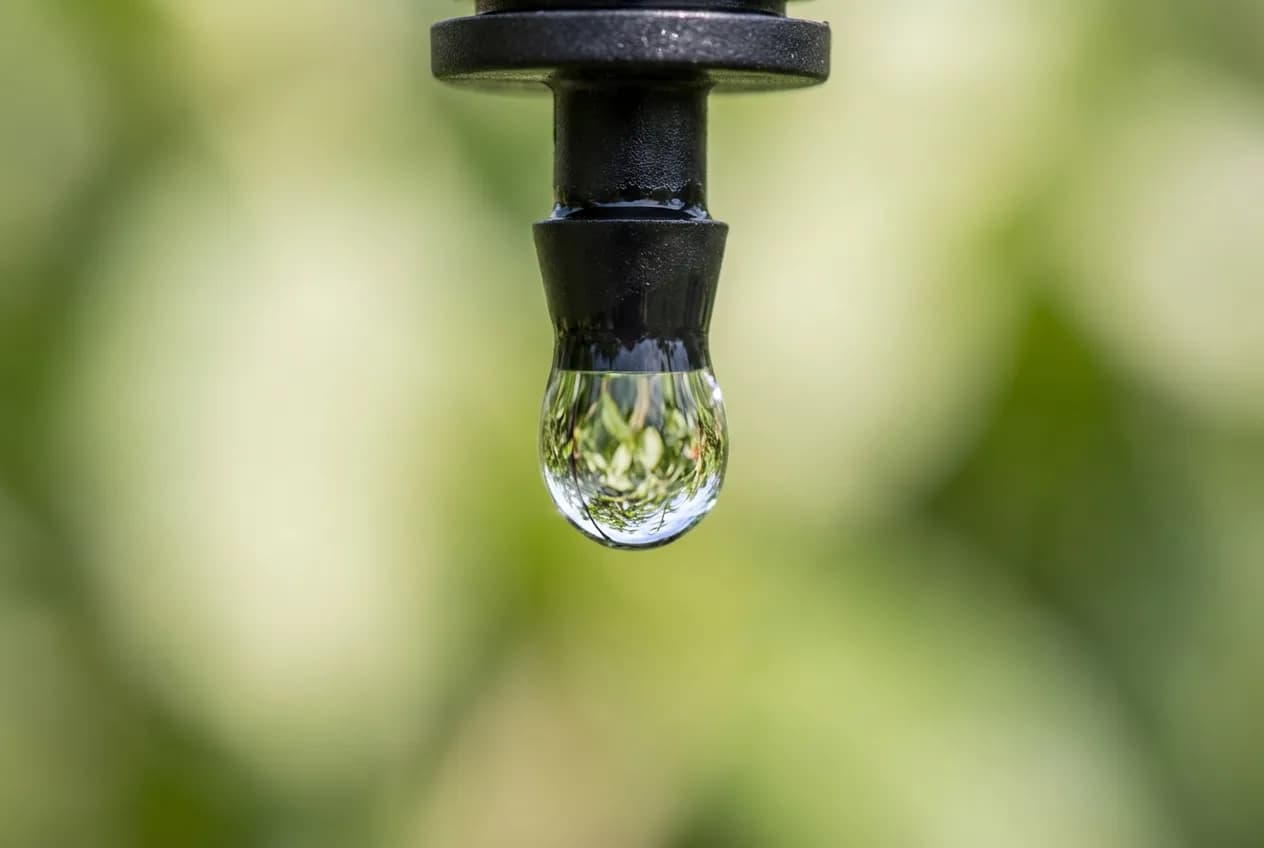 Longueur maxi tuyau goutte à goutte : Calcul et Limites Gros plan macro d'une goutte d'eau perlant d'un tuyau d'irrigation noir